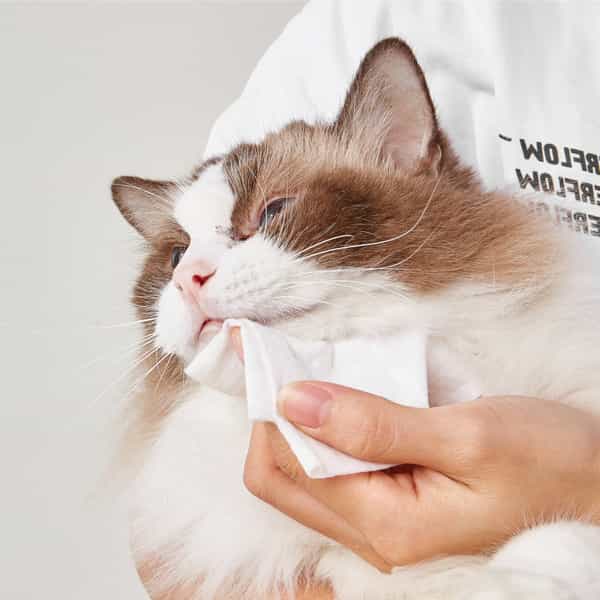 Fofos Pet Cleaning Wipes Unscented - 80Pcs