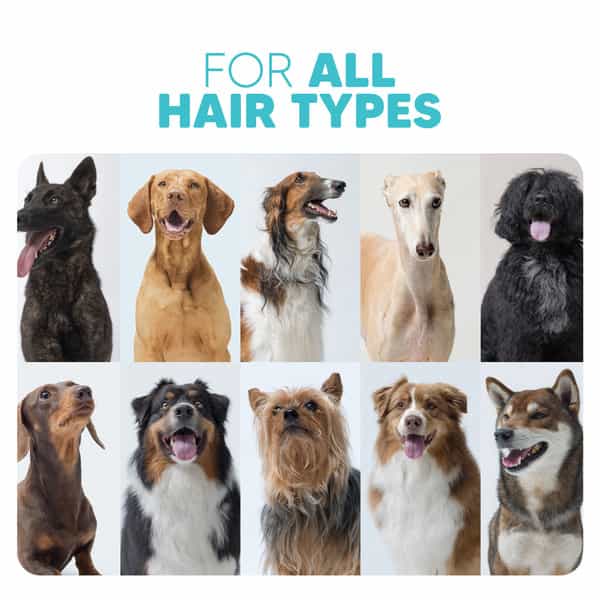 Ez-Wizzy 2-In-1 Pet Shampoo & Conditioner