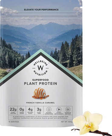 Wellbeing Nutrition Organic Vegan Plant Protein Isolate | Vanilla Caramel - 500gm