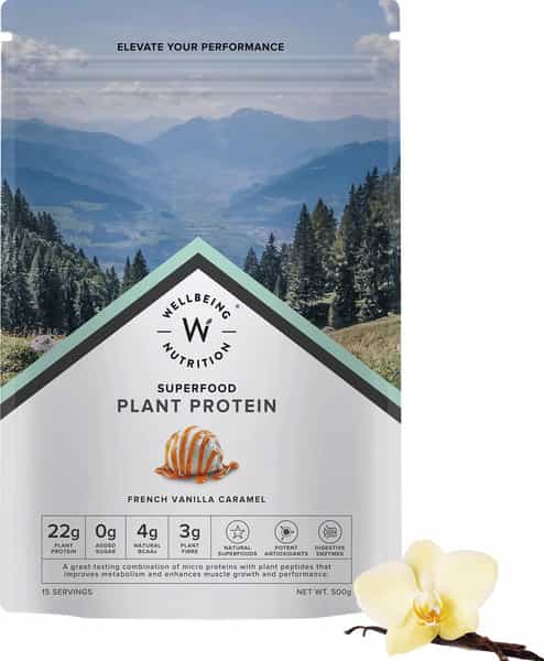 Wellbeing Nutrition Organic Vegan Plant Protein Isolate | Vanilla Caramel - 500Gm