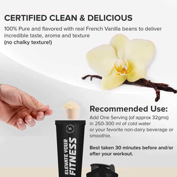 Wellbeing Nutrition Organic Vegan Plant Protein Isolate | Vanilla Caramel - 500Gm