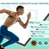 Wellbeing Nutrition Organic Vegan Plant Protein Isolate | Vanilla Caramel - 500Gm