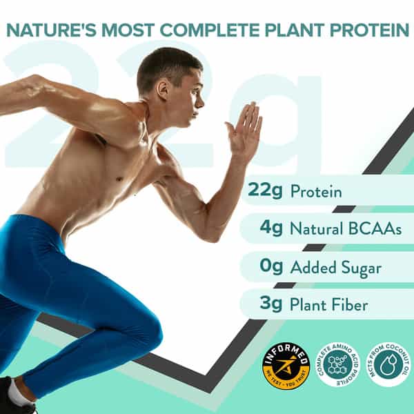 Wellbeing Nutrition Organic Vegan Plant Protein Isolate | Vanilla Caramel - 500Gm