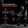 Fuel One Whey Max (Triple Chocolate | 1kg / 2.2lbs) | 27g Protein | Whey Protein Concentrate
