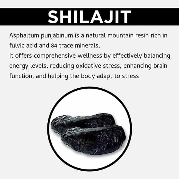 Uma Ayurveda Shilajit Capsule Ayurvedic Capsules 60 Caps
