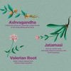 Foresta Organics Sleep Health With Ashwagandha Jatamansi & Tagar (Indian Valerian Root)-60 Capsules