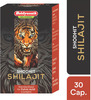Baidyanath Asli Ayurved Shilajit 30 Capsules