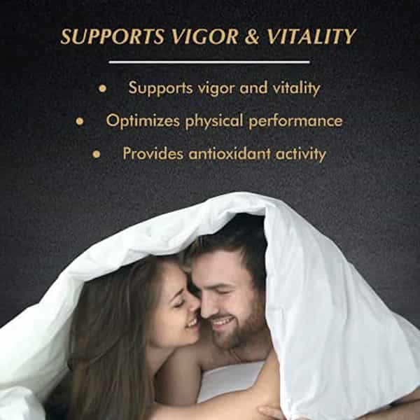 Baidyanath Asli Ayurved Shilajit 30 Capsules