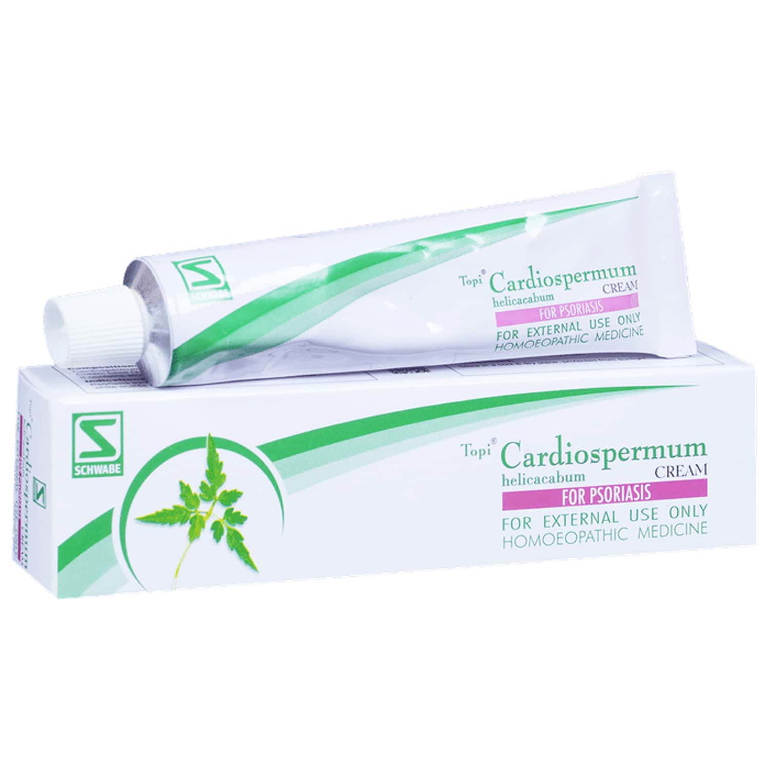 Dr. Willmar Schwabe India Topi Cardiospermum Cream 25 Gm