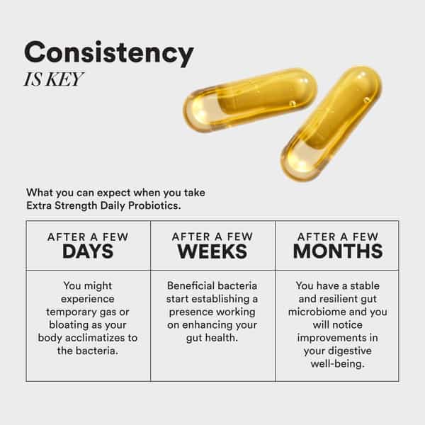 Wellbeing Nutrition Slow Daily Probiotics Clinically Proven 60 Billion Cfu | 14 Unique Strains