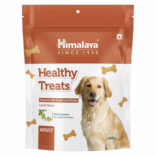 Himalaya Lamb Flavour Healthy Adult Dog Treats (400G)