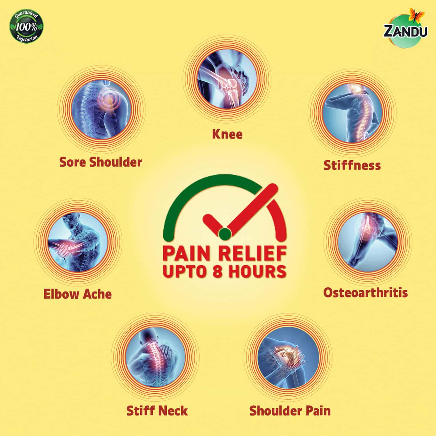 Buy ZANDU AYURVEDIC KNEE PAIN RELIEF PATCH (PACK OF 5 PATCHES) Online