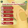 Zandu Ayurvedic Knee Pain Relief Patch (Pack Of 5 Patches)