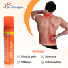 Dr. Morepen Pain-X | Pain Relief Spray 50 Gm