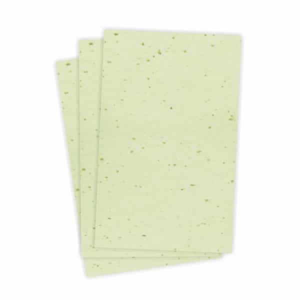 Gubb Oil Absorbing Sheet | 50 Sheets