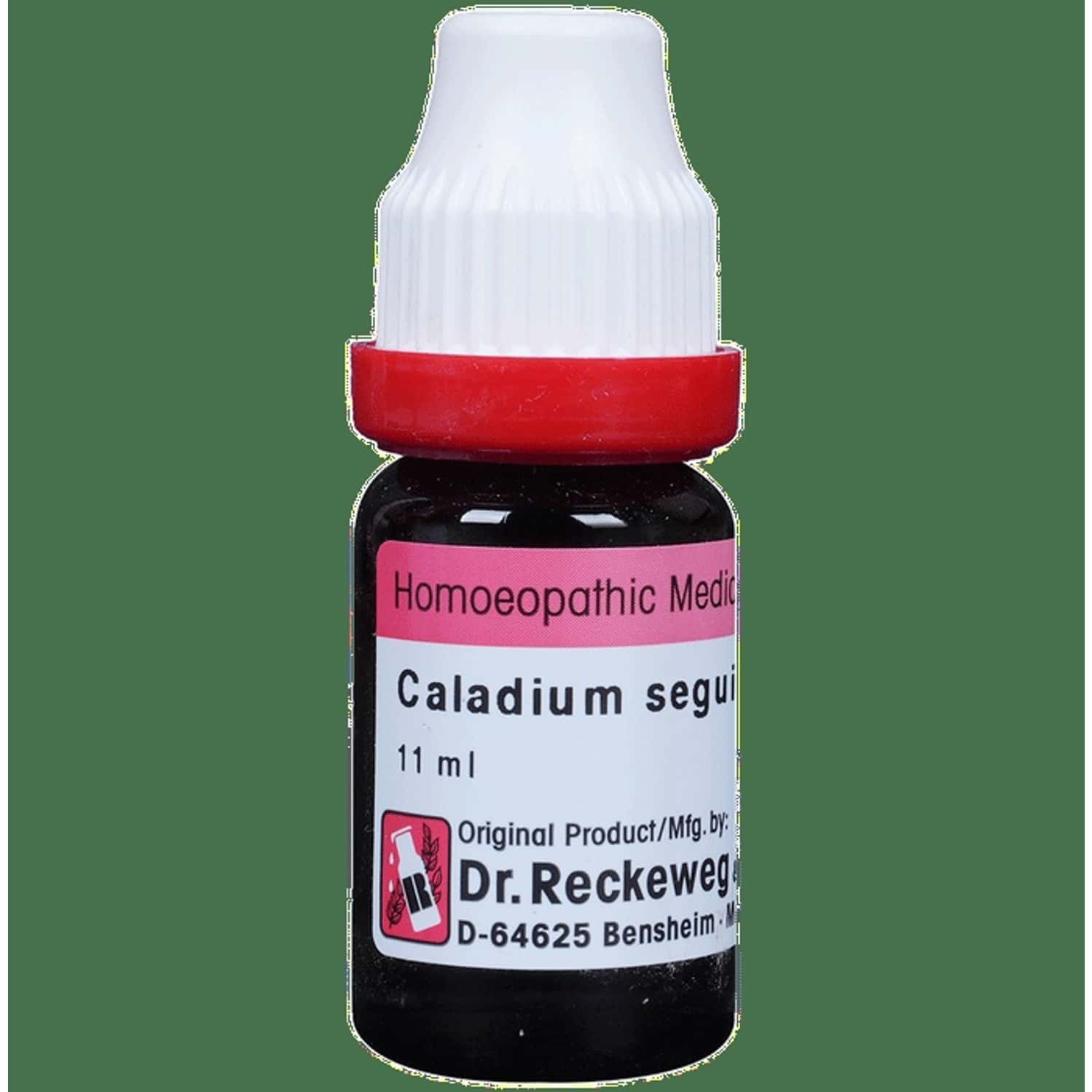 Dr. Reckeweg Caladium Seg Dilution 200 Ch 11 Ml