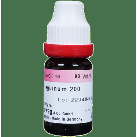 Dr. Reckeweg Caladium Seg Dilution 200 Ch 11 Ml