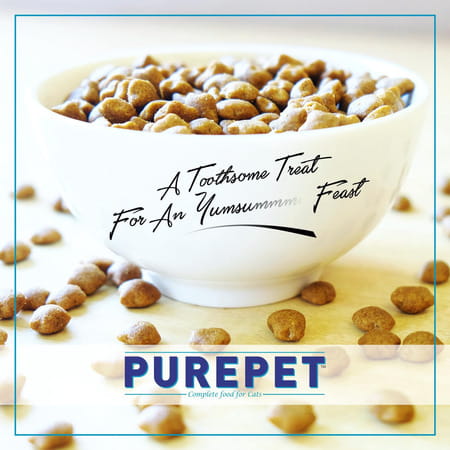 Purepet Ocean Fish Adult Dry Cat Food | 1 Kg