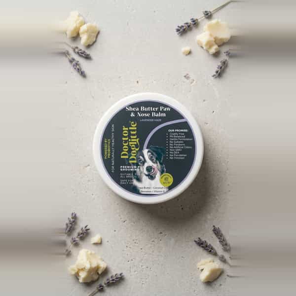 Doctor Doglittle Probiotic Dog Cracked Paws & Nose Balm With Shea Butter (15 Gms)