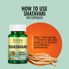 Morpheme Remedies Shatavari Asparagus Racemous Extract Veg Capsules (500 Mg | 60 Cap)