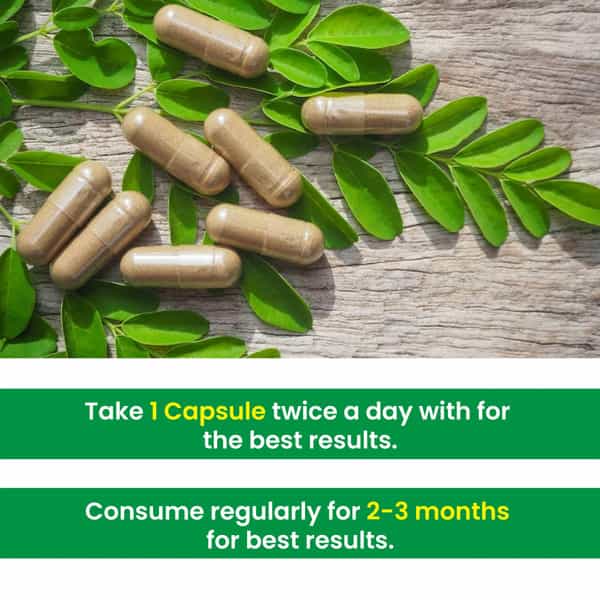Cipzer Fatty Liver Solution Capsule Manage Fatty Liver Conditions,Supports Liver Health 60 Capsules