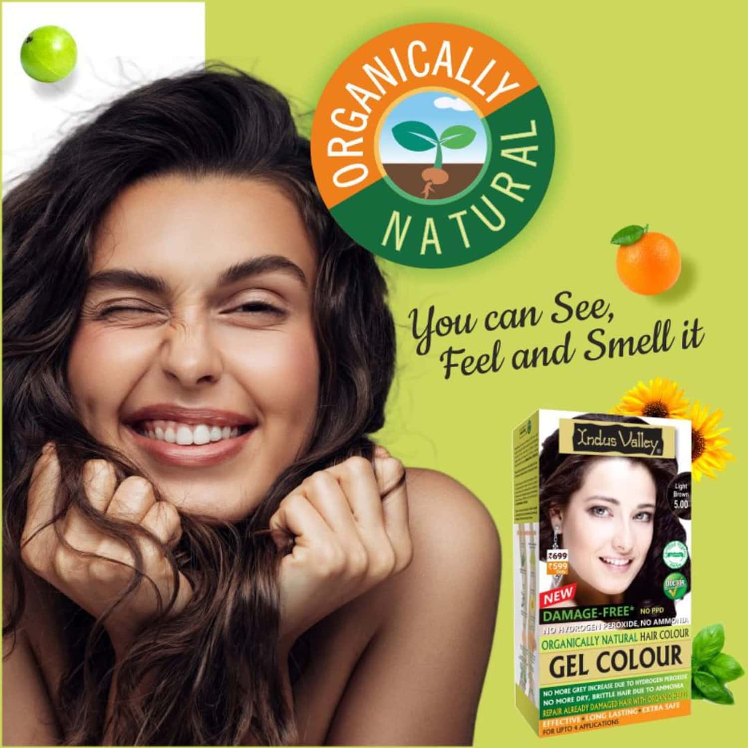 Buy INDUS VALLEY ORGANICALLY NATURAL DAMAGE FREE GEL HAIR COLORLIGHT