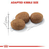 Royal Canin Sterlised 37 Regular For Adult Cats | 400 Grams | Dry Food