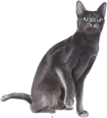 View product image 5