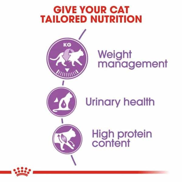 Royal Canin Sterlised 37 Regular For Adult Cats | 400 Grams | Dry Food