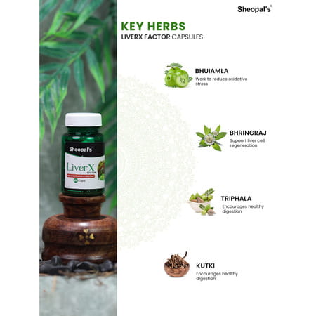 Sheopal'S Super Combo Liver X Factor 60capsule For Liver Detox & Hyper 60capsule For Hypertension