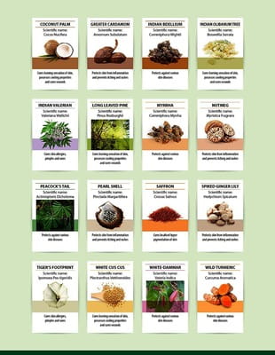 View product image 5