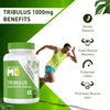 Muscleblaze Ashwagandha 60 Tab With Mb Tribulus 1000Mg 60 Tab (Combo Pack)