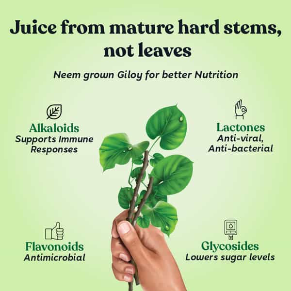 Kapiva Giloy Juice (Natural Immunity Booster) 1 L
