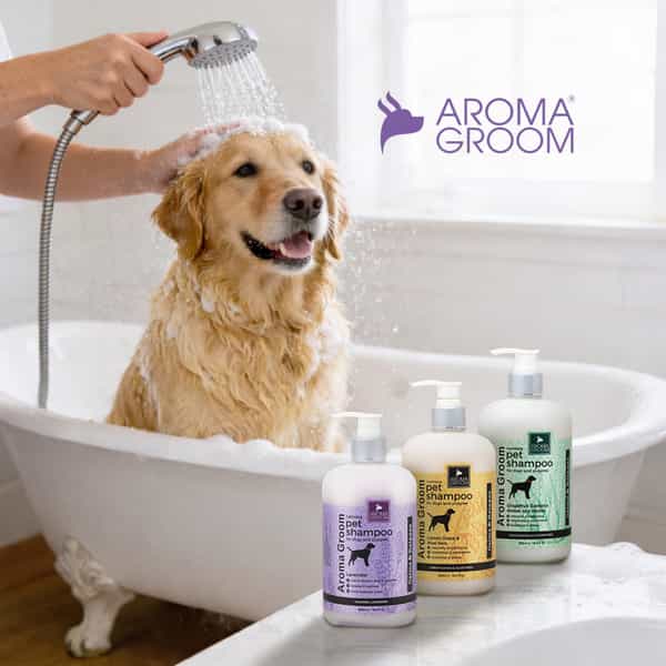 Aroma Groom Lemongrass Pet Shampoo 500 Ml