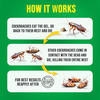 Pci Roachwiz Cockroach Killer Gel | For Home & Kitchen | Targets Roaches | Child-Safe - 35G