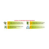 Allen Laboratories Paintox Gel 30 Gm (Pack Of 4)