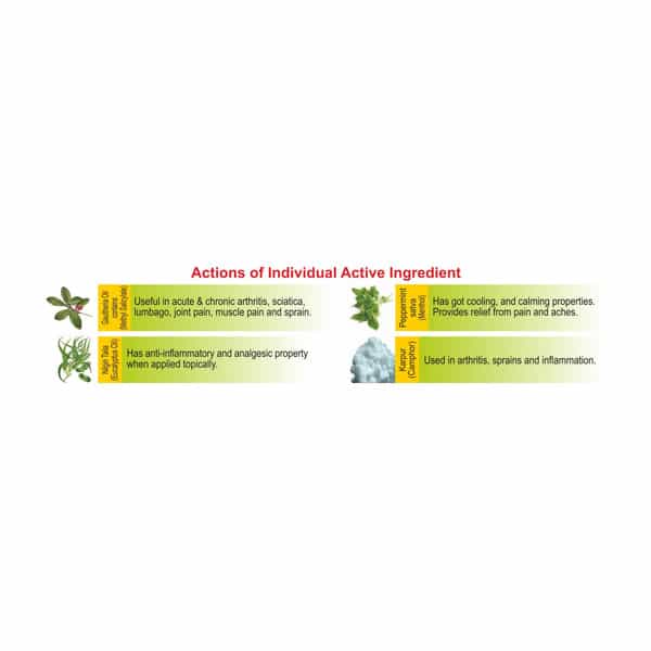 Allen Laboratories Paintox Gel 30 Gm (Pack Of 4)