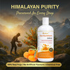 Sushain Sea Buckthorn Juice - Rich In Omega 3 | 6 | 9 & Vitamin C | E | B12- 500 Ml