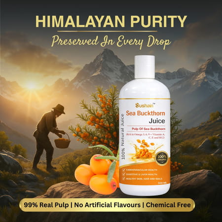 Sushain Sea Buckthorn Juice - Rich In Omega 3 | 6 | 9 & Vitamin C | E | B12- 500 Ml