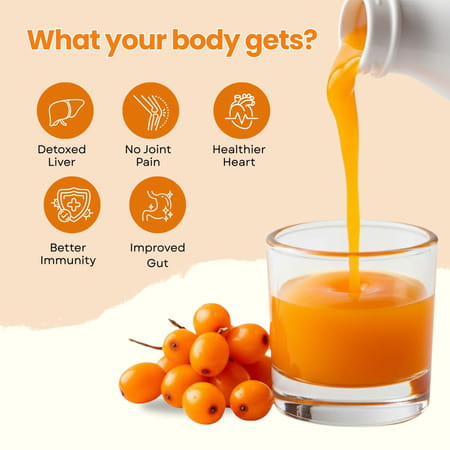 Sushain Sea Buckthorn Juice - Rich In Omega 3 | 6 | 9 & Vitamin C | E | B12- 500 Ml