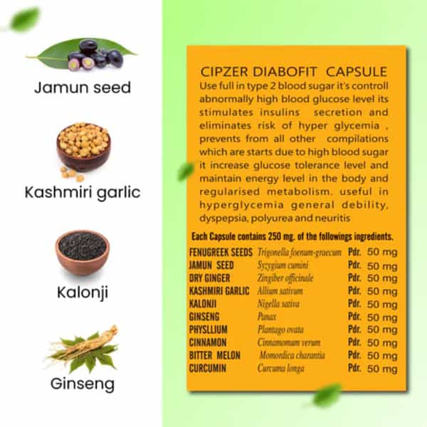 Cipzer Diabo Fit 60 Capsules | Supports Healthy Blood Sugar & Glycemic Balance