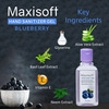 Maxisoft Hand Sanitizer | Blueberry | 60 Ml | Pack Of 12