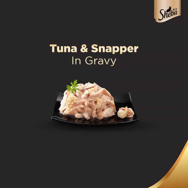 Sheba Deluxe Premium Adult (1+ Years) Wet Cat Food | Tuna & Snapper In Gravy | 85 G Can (Pack Of 24)