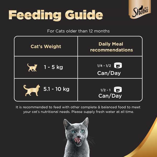 Sheba Deluxe Premium Adult (1+ Years) Wet Cat Food | Tuna & Snapper In Gravy | 85 G Can (Pack Of 24)