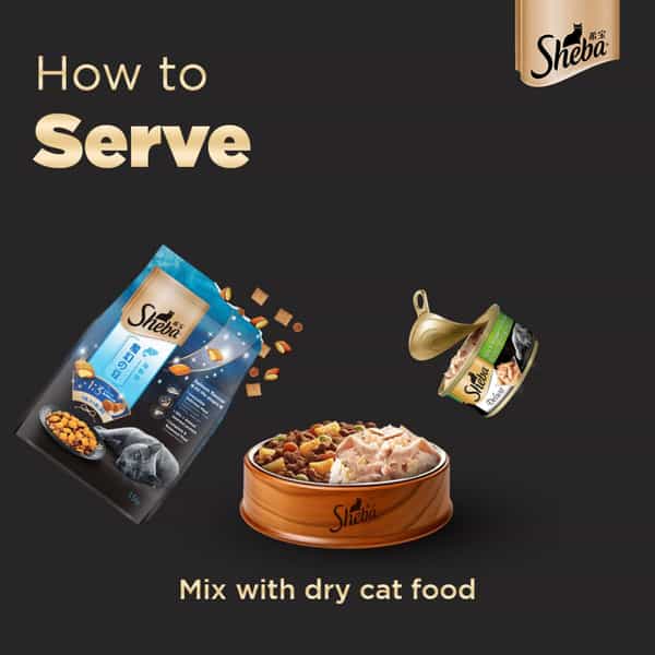 Sheba Deluxe Premium Adult (1+ Years) Wet Cat Food | Tuna & Snapper In Gravy | 85 G Can (Pack Of 24)
