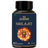 Fij Ayurveda Shilajit/Shilajeet Capsule Supports Energy & Energy - 500mg 60 Capsules (Pack Of 1)