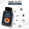 Fij Ayurveda Shilajit/Shilajeet Capsule Supports Energy & Energy - 500mg 60 Capsules (Pack Of 1)