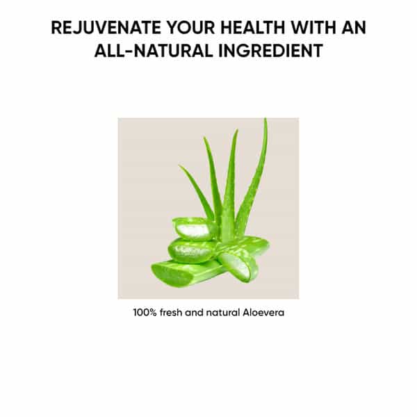 Dr. Vaidya's Ayurvedic Piles Combo - 30 Caps - Piles Care Capsules X 2 & 1 Litre Of Aloevera Juice