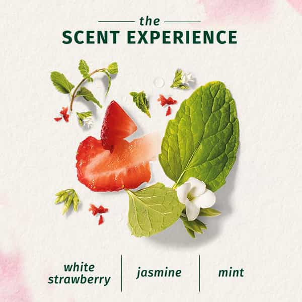 Herbal Essences Bio Renew Clean White Strawberry And Sweer Mint Conditioner - 400Ml