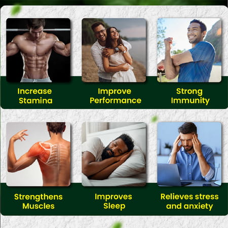 Hashmi Hard Rock Boost Energy Capsule 20